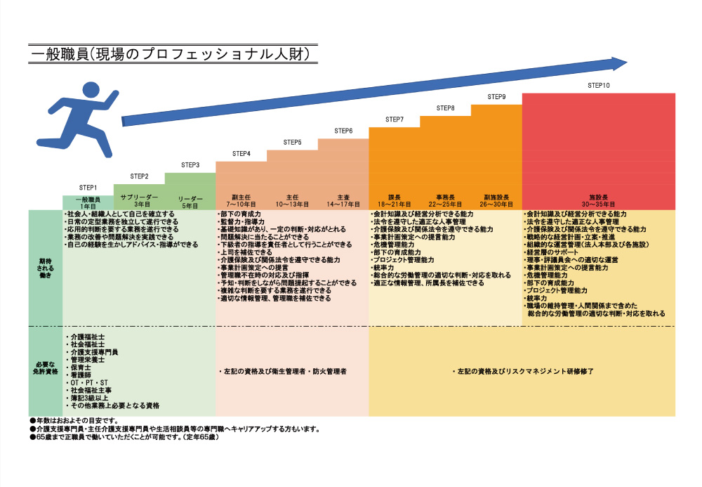 一般職キャリアパス
