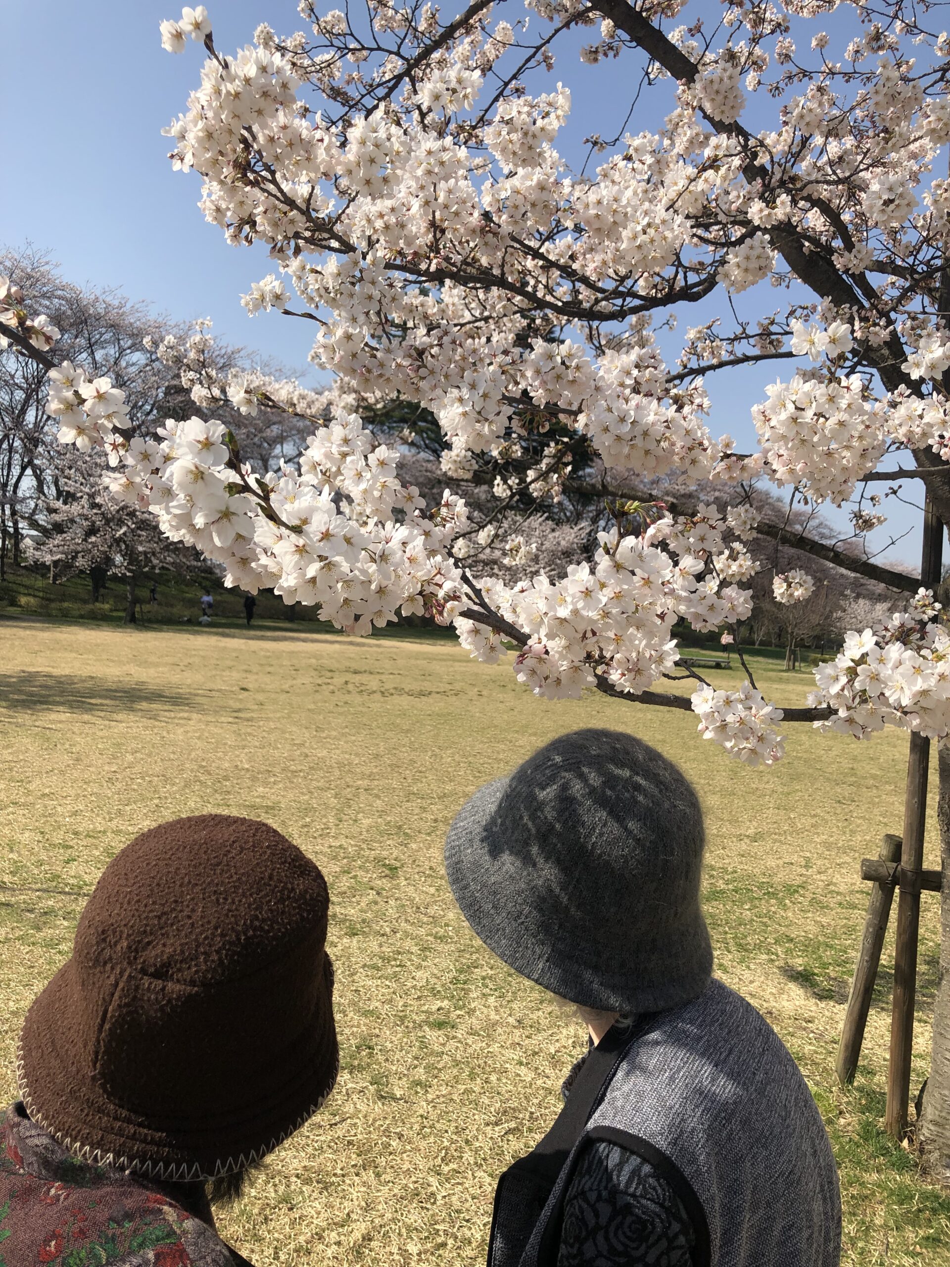 グループホーム ~お花見~の写真(山形県山形市)