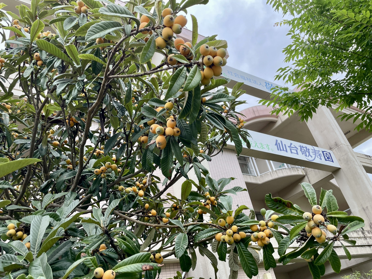 576dc7ef63644666e3c1b6750c5fdb